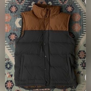 Patagonia Bivy Puffer Vest